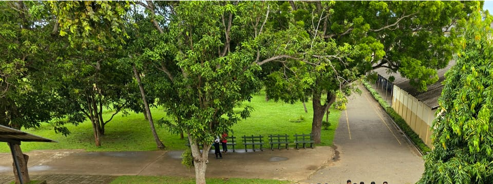 Don Bosco Negombo Campus View